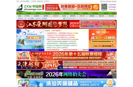 中信网