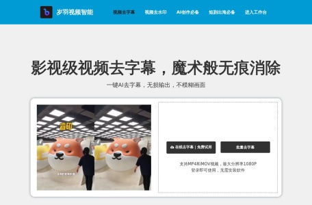 岁羽视频智能