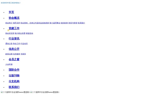 中国工程咨询协会