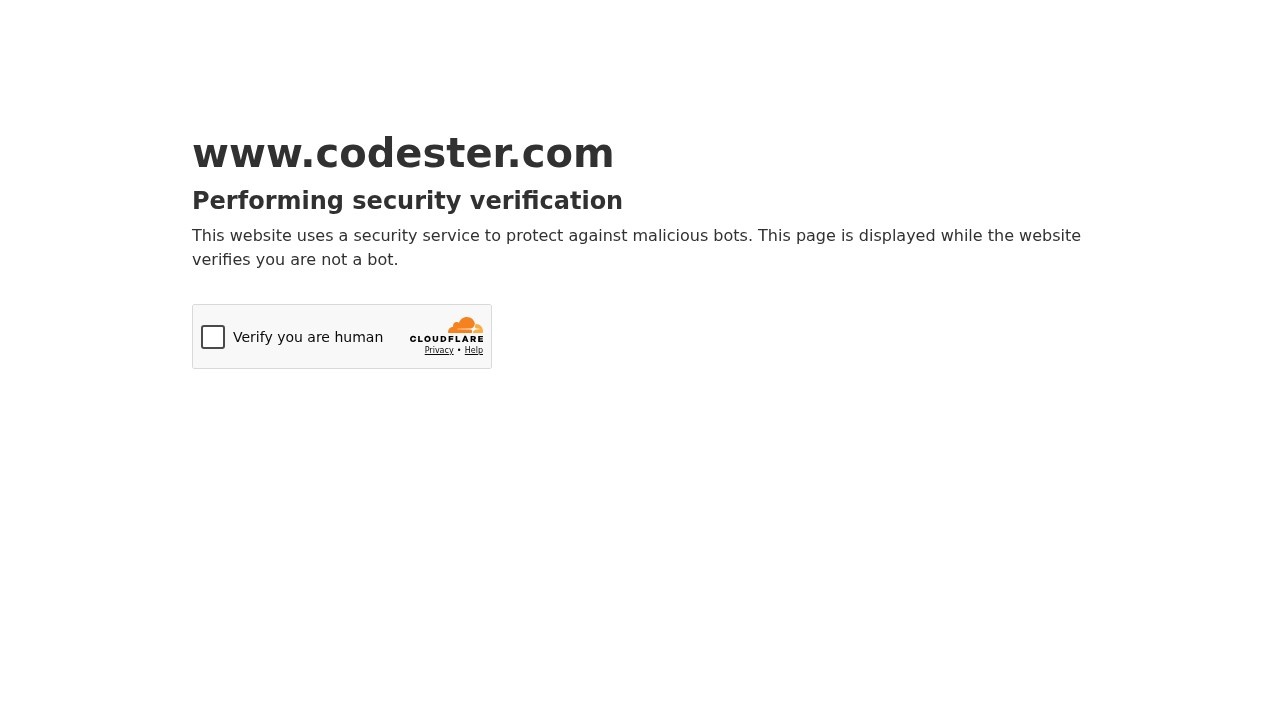 Codester–程序代码交易市场