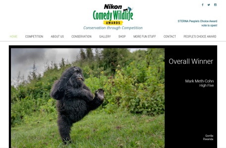 喜剧野生动物摄影