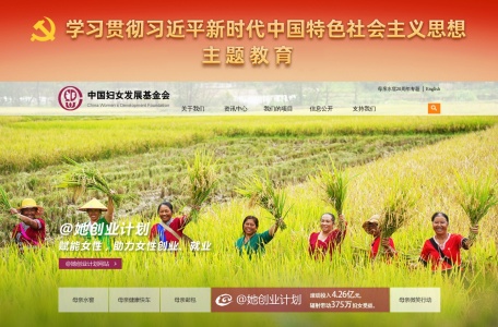 中国妇女发展基金会