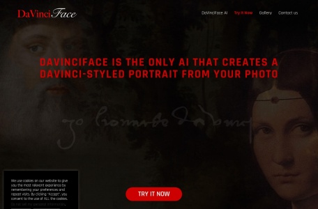 DaVinciFace