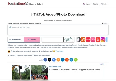 TikTok Downloader