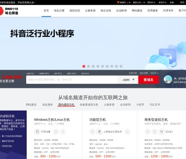 DNS110域名频道