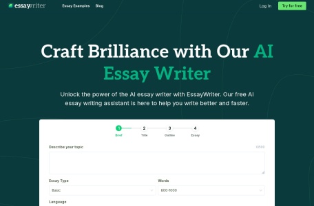 EssayWriter io