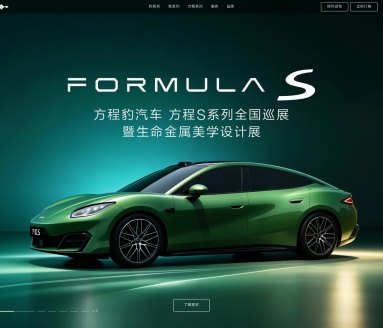 方程豹