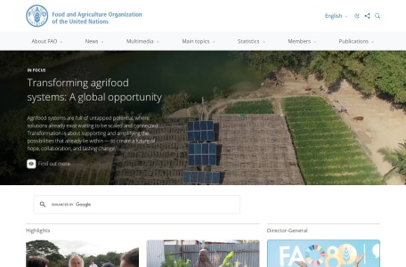 联合国粮农组织