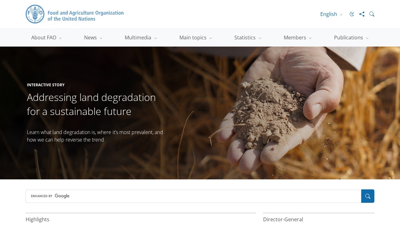 联合国粮农组织