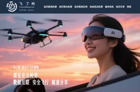 飞了网-低空商旅