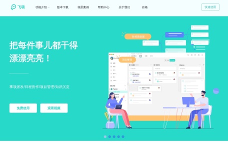 飞项