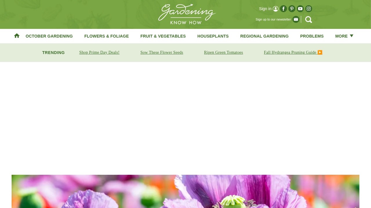 Gardening Know How