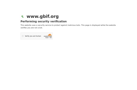GBIF