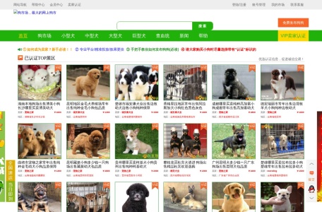 狗市场