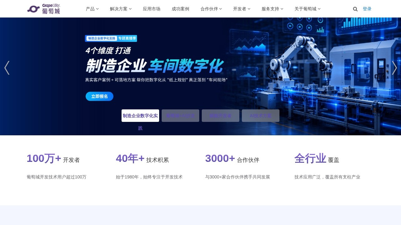 葡萄城开发工具