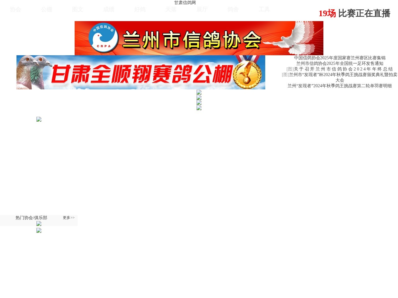 甘肃信鸽网
