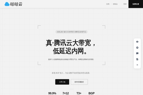 咕咕云 – 企业级云服务器与IDC服务提供商