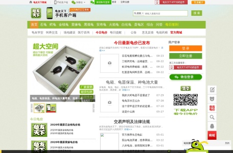 龟友天下
