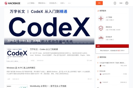 黑基网