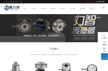 扭矩传感器_轴销传感器_合肥力智传感器系统有限公司