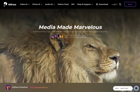 HitPaw Watermark Remover