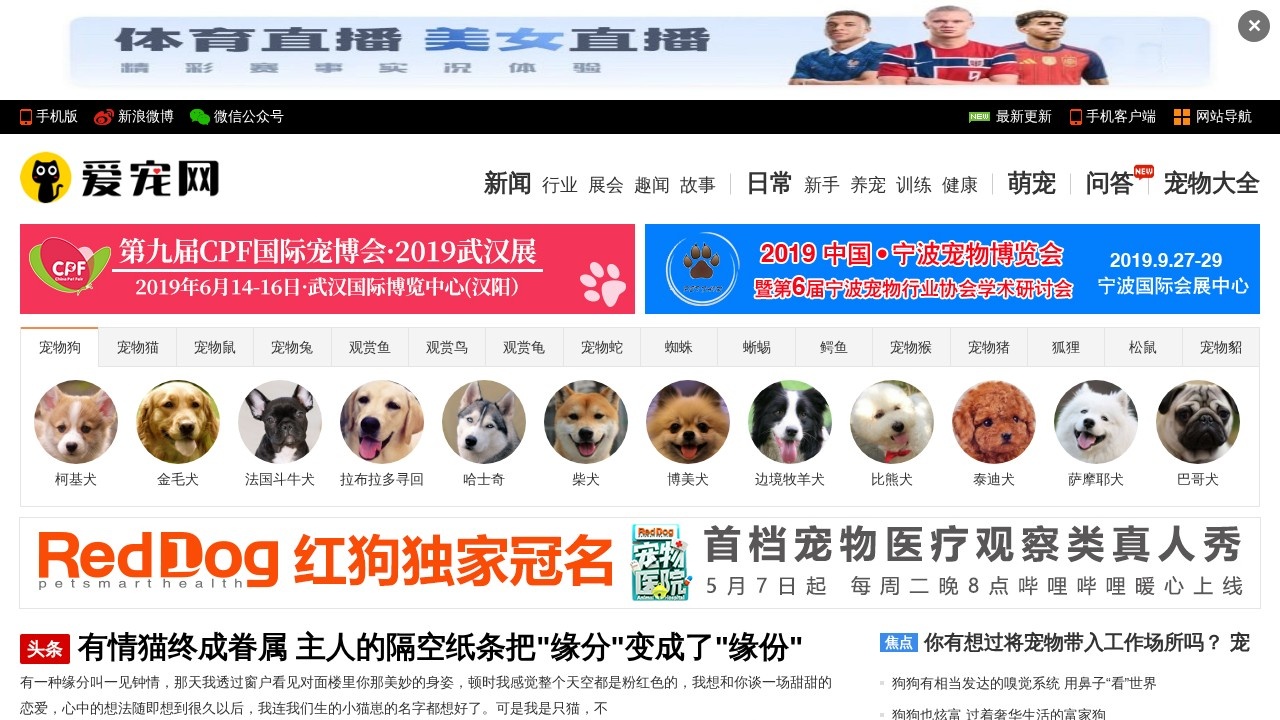 爱宠网宠物大全