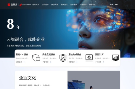 西唯数据