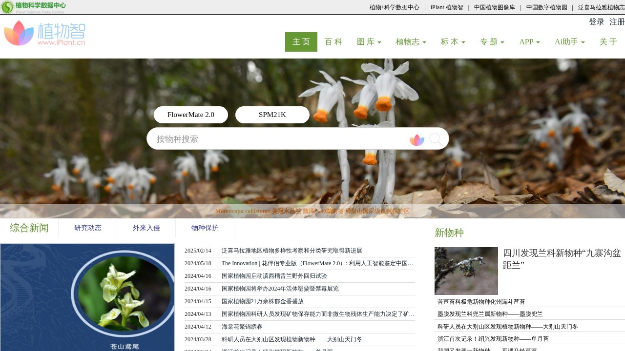 iPlant 植物智