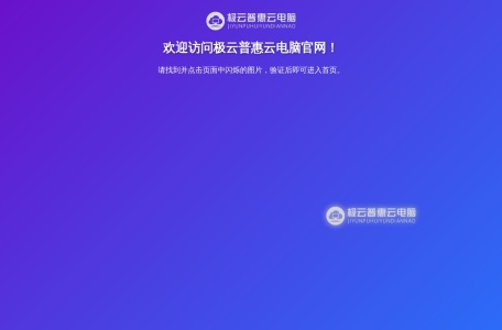 极云普惠云电脑