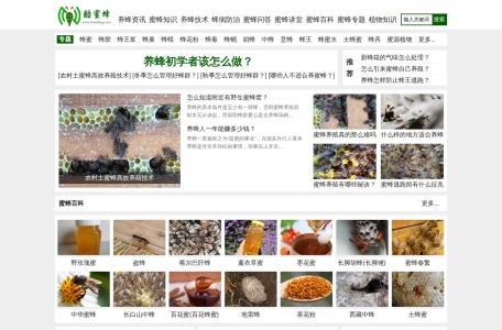 酷蜜蜂