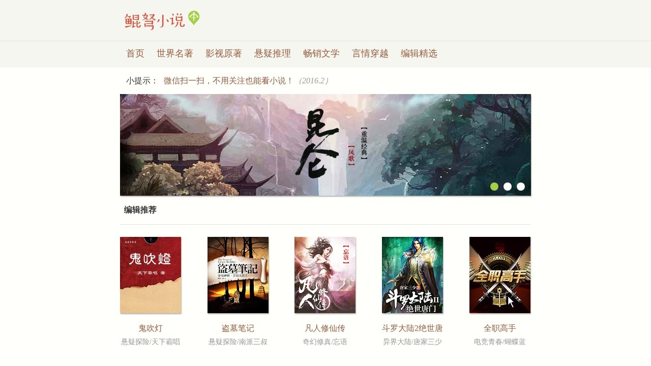 鲲弩小说