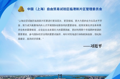 中国（上海）自由贸易试验区临港新片区管理委员会