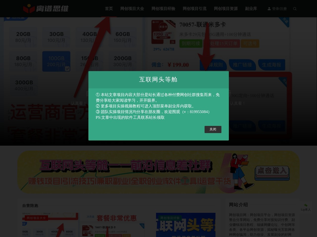 网创项目平台