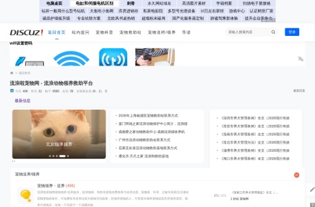 宠物领养