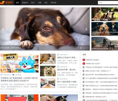 爱宠网