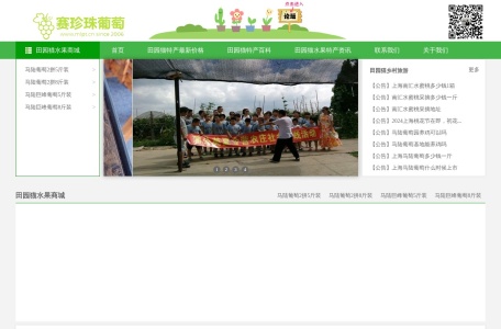 马陆葡萄网-马陆葡萄采摘攻略|新品种|礼盒装|价格多少钱一斤