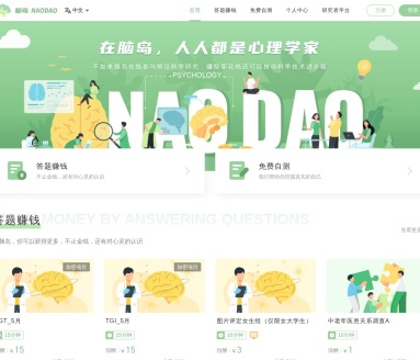 脑岛