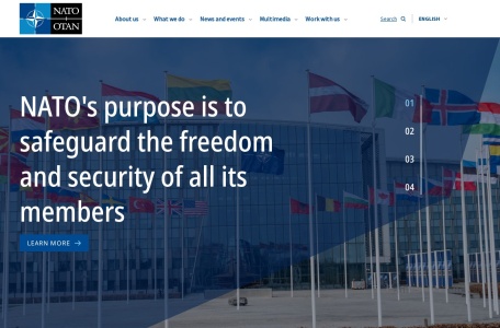 北大西洋公约组织(NATO)