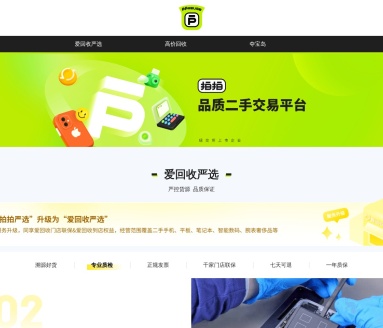 拍拍