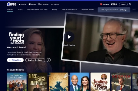 美国公共广播服务