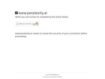 Perplexity