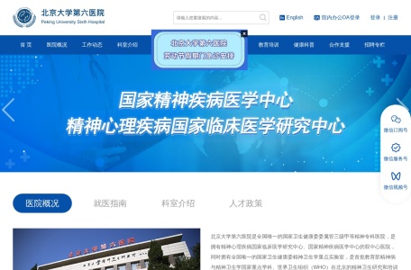 北京大学第六医院