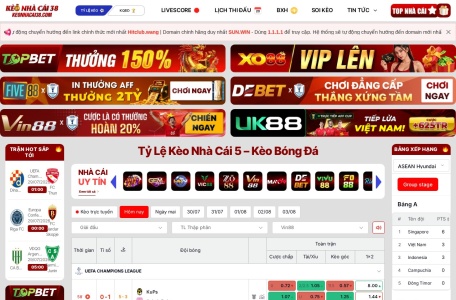Roobin翻译站点