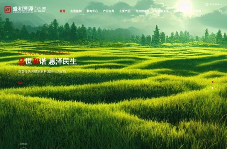盛和资源控股股份有限公司