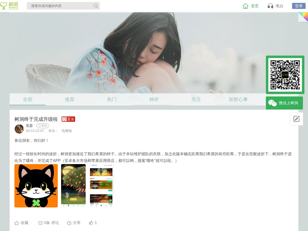 树洞网