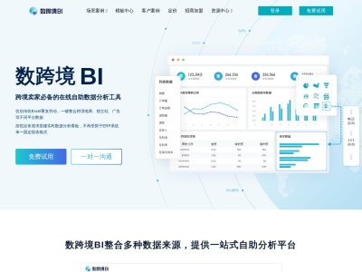 数跨境BI
