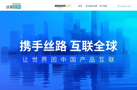 丝路互联_贯通线上电子商务到线下企业服务的整条商业链，为企业提供品牌出海订制方案的同时，赋能品牌自我发展