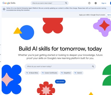 Google Skills