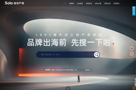 搜啦知识产权
