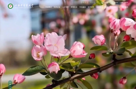 山西中医药大学